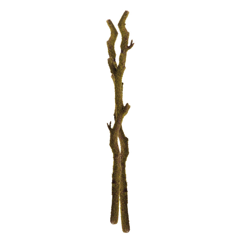 BRANCHES MOUSSE 24 po, ENSEMBLE DE 2