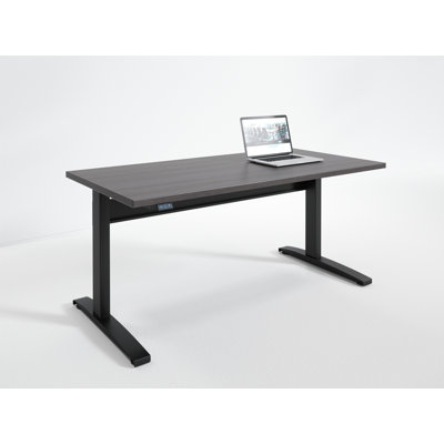 Danette Adjustable Metal Base Standing Desk