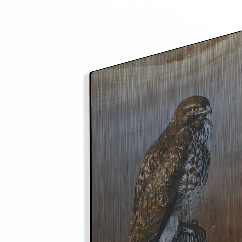  «Redtail Hawk» par Jim Brune, art mural en métal, 12 po x 12 po, H 12 po x l 12 po