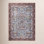 Canopy Red / Blue Area Rug