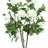 Hydrangea Tree in Fiberstone Pot