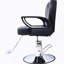 Fauteuil de coiffeur tout usage pour coiffeur pour salon de coiffure, fauteuil de coiffeur hydraulique robuste pour spa-1499818897