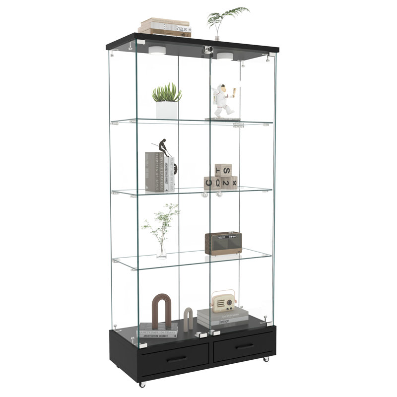 Multifunctional Glass Case With 2 - Door, 4 Shelves, And Adjustable Lighting For Different Rooms Office Drawers,, Black