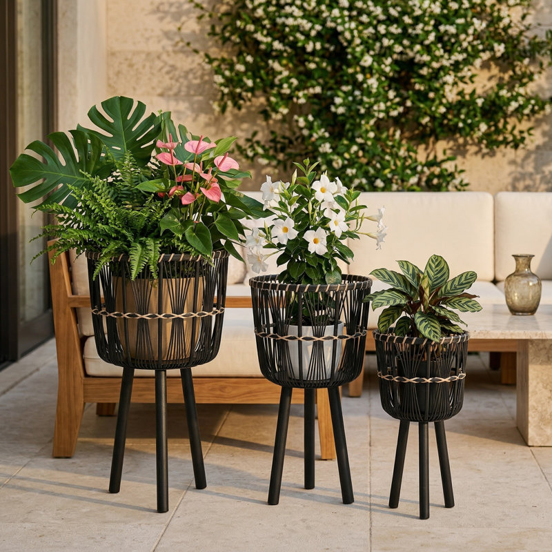 Neutral Boho Wicker Planter Stand Set, Versatile Indoor Garden Decor, 3 Piece, Black