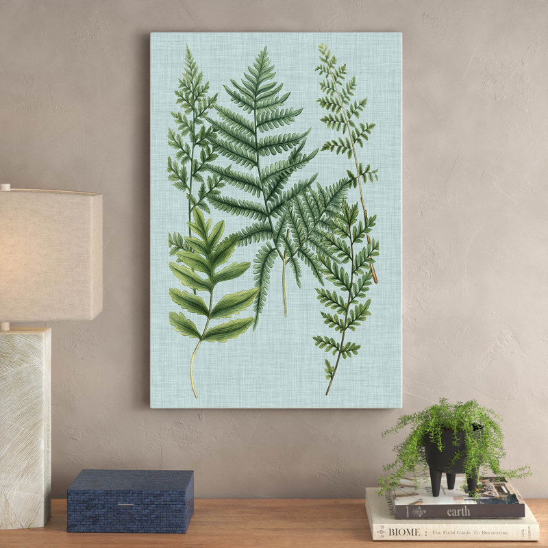 'Spa Ferns I' by Weinmann - Wrapped Canvas Graphic Art Print, 91cm H x 61cm W, Wrapped Canvas
