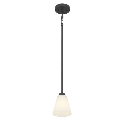 Mini-luminaire suspendu 1 lumière 5,75 po Strayhan