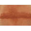 Tapis rouge Coral