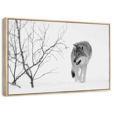 Chasse au loup d'hiver