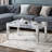 Amla Modern Mirrored Glass Coffee Table