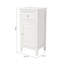 Yaritza Freestanding Bathroom Cabinet