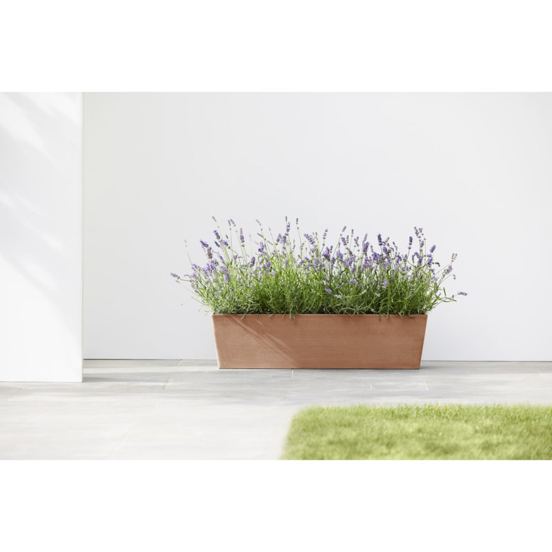 Pot Planter
