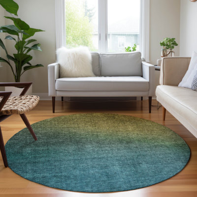 Jurnee Washable Indoor / Outdoor Rug