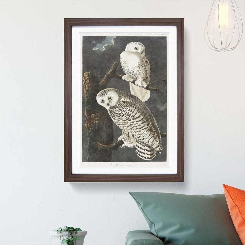 Snowy Owls by John Audubon - Picture Frame Painting Print, 36cm H x 27cm W x 2cm D, Walnut Framed