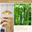 1 - Light Farmhouse Boho Wooden Chandelier