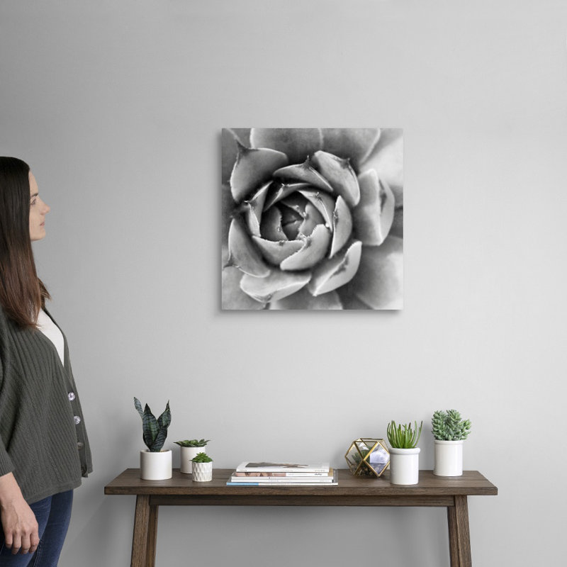 «Garden Succulent II», art mural sur toile, Toile tendue, H 20 po x l 20 po x P 1,25 po