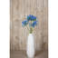 Anastasija Arrangement-1107332942
