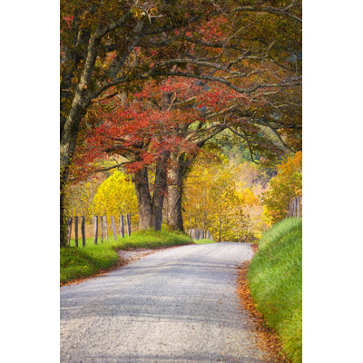 Late Autumn Afternoon In The Smokies - Wrapped Canvas Print