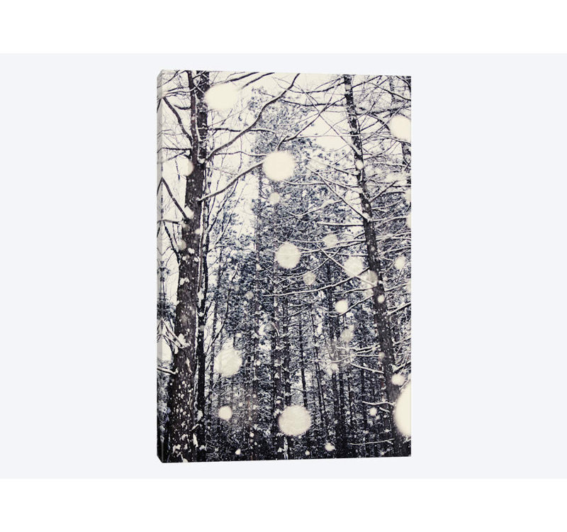 Chelsea Victoria - Print on Canvas, 101.6 cm H x 66.04 cm W x 1.91 cm D, Wrapped Canvas