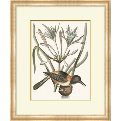 Summer Bird 7 Print