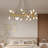 20-Light Modern Chandelier Light-2009097391