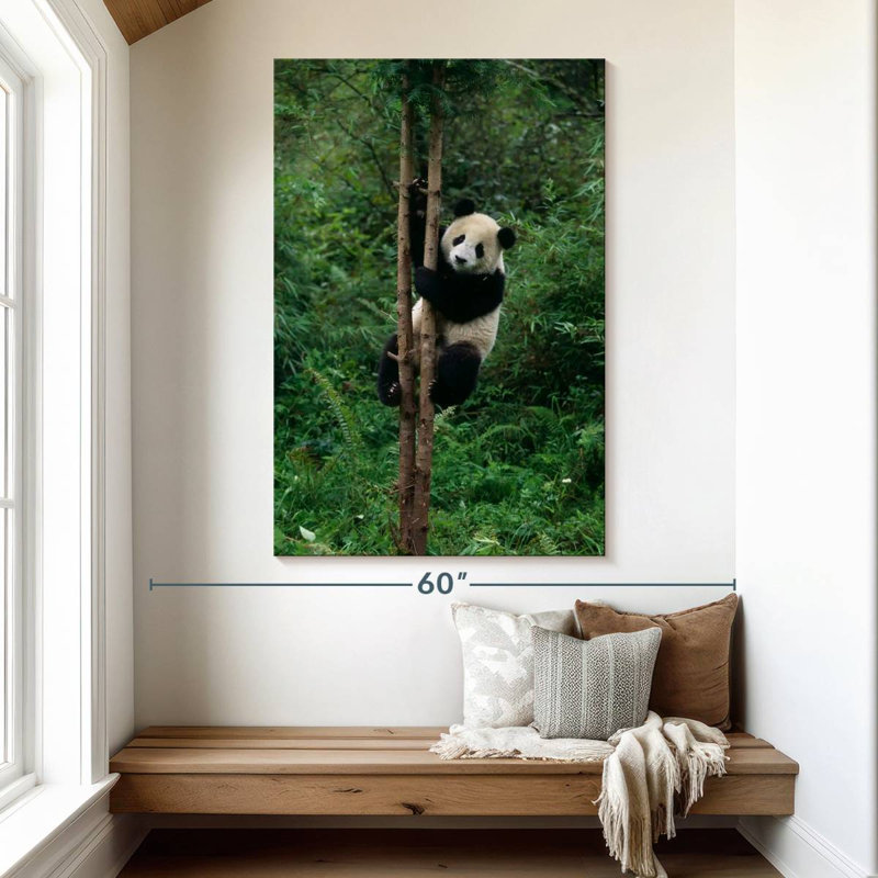 Brampt Climbing Panda, 51" H x 34" W
