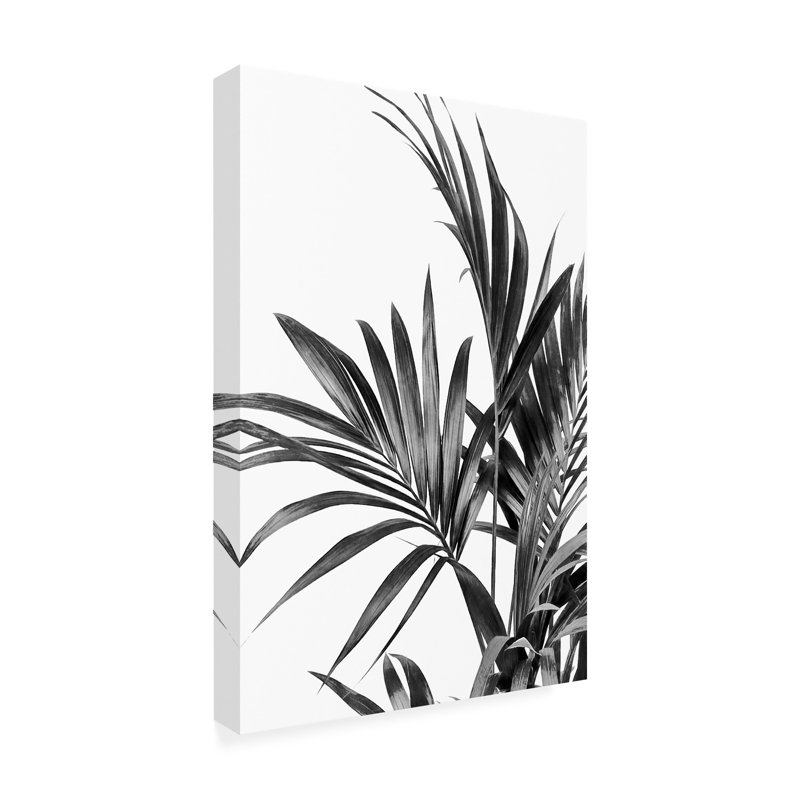Art sur toile, noir et blanc 01, H 12 po x l 19 po