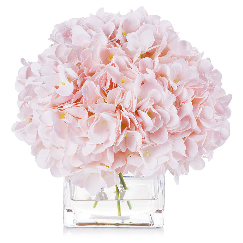 Hortensia en fleurs dans un vase en verre, Rose clair