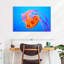 Somersault Brampt Jellyfish-107707515