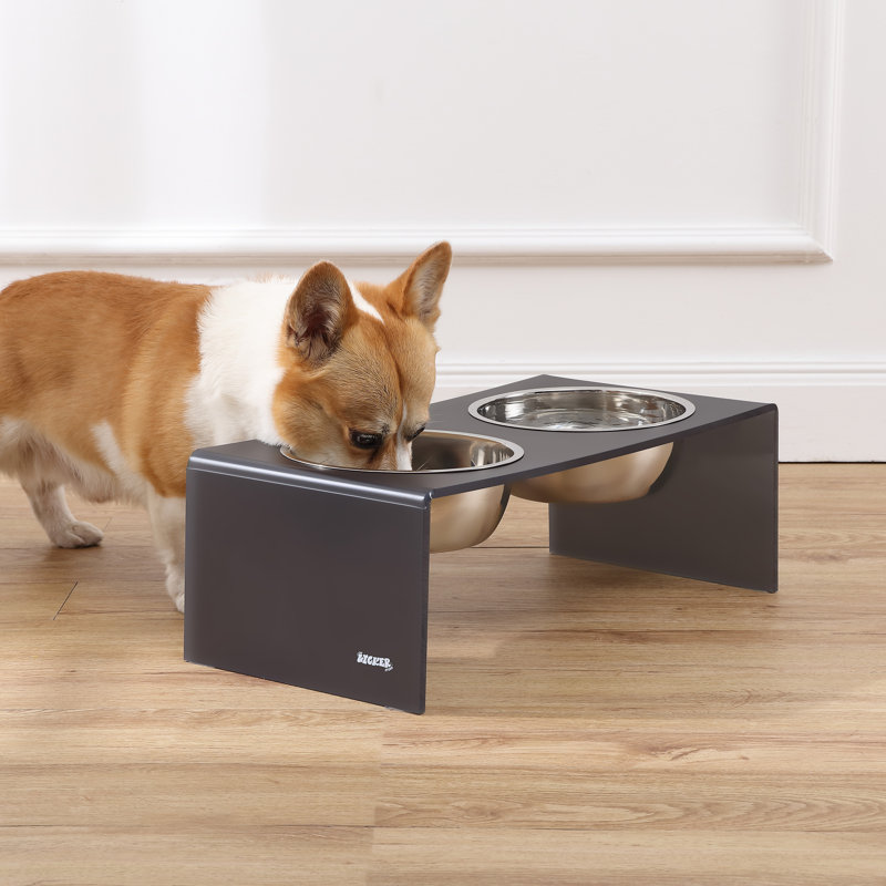 Mangeoire pour animaux Keaton, Moyen (6,76 tasses / 54 oz liquides), Gris foncé / Chrome