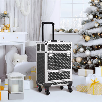 Ackerman 9 Compartment Makeup Organizer