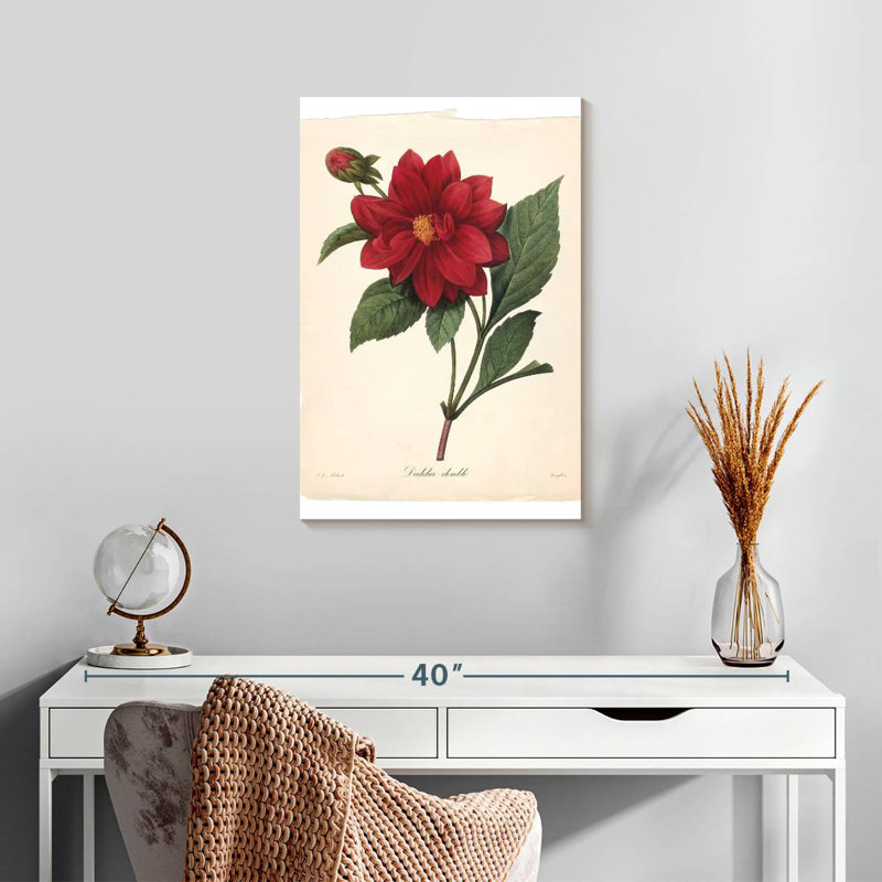 Harnek Red Botanical II, H 24 po x l 16 po