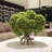 Silk Hydrangea Arrangement in Vase-550694993-550694992