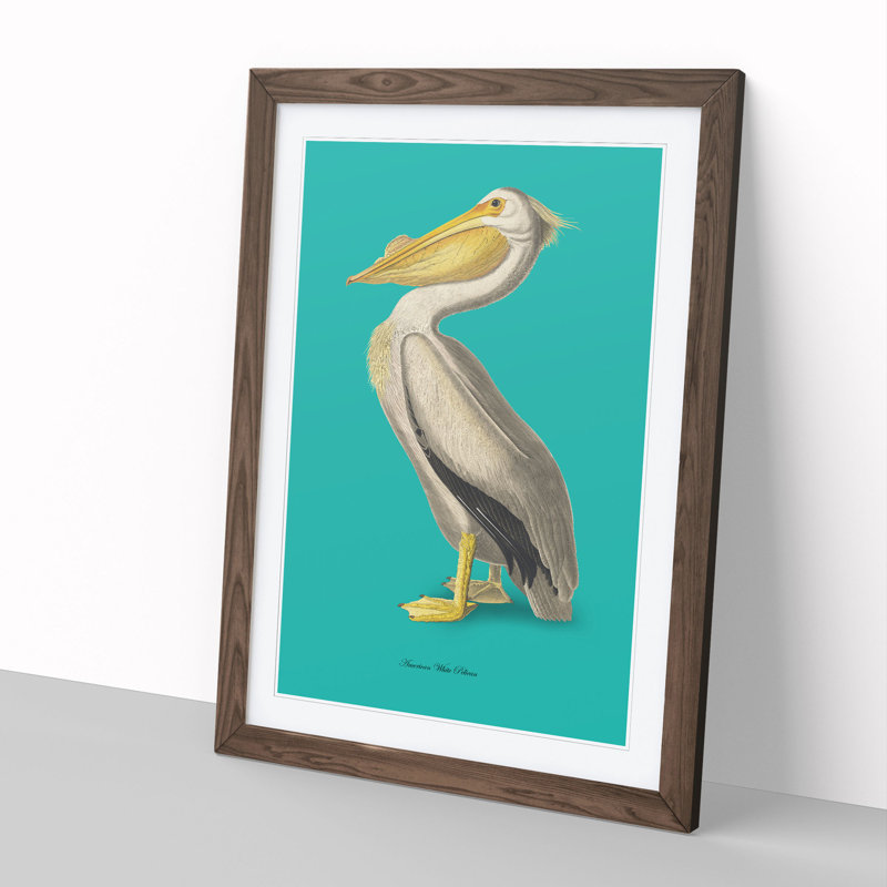 American Pelican in Teal by John Audubon - Picture Frame Painting, Walnut, 36cm H x 27cm W x 2cm D