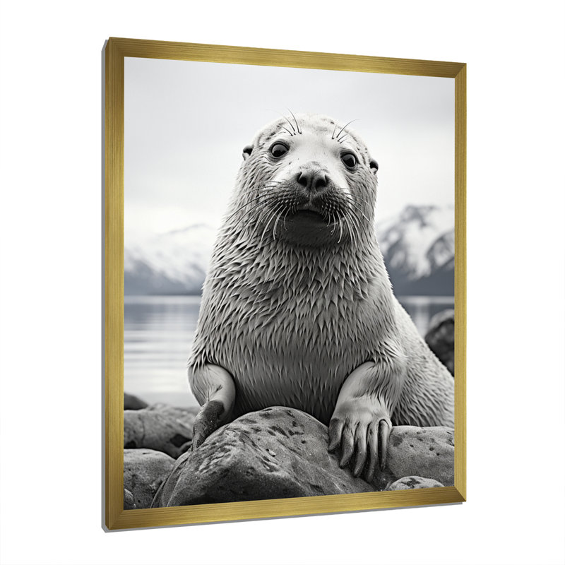 Lamarc, sceau de l'Arctique de l'Alaska - impression, H 20 po x l 12 po x P 1 po, Encadrement doré