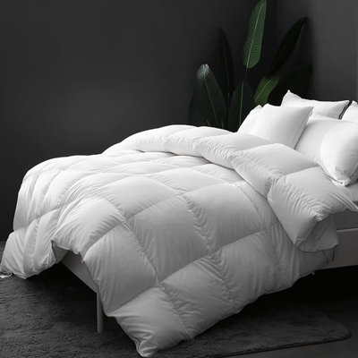750In³/Oz Fill Power All Season Goose Feather Down Comforter