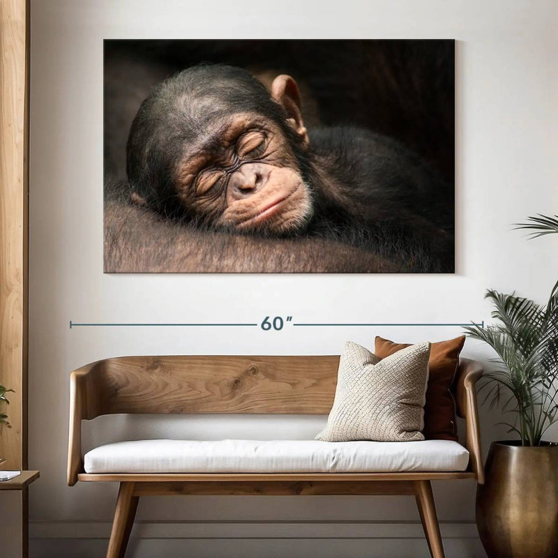 Brampt Sleeping Baby Chimpanzee, 34" H x 51" W