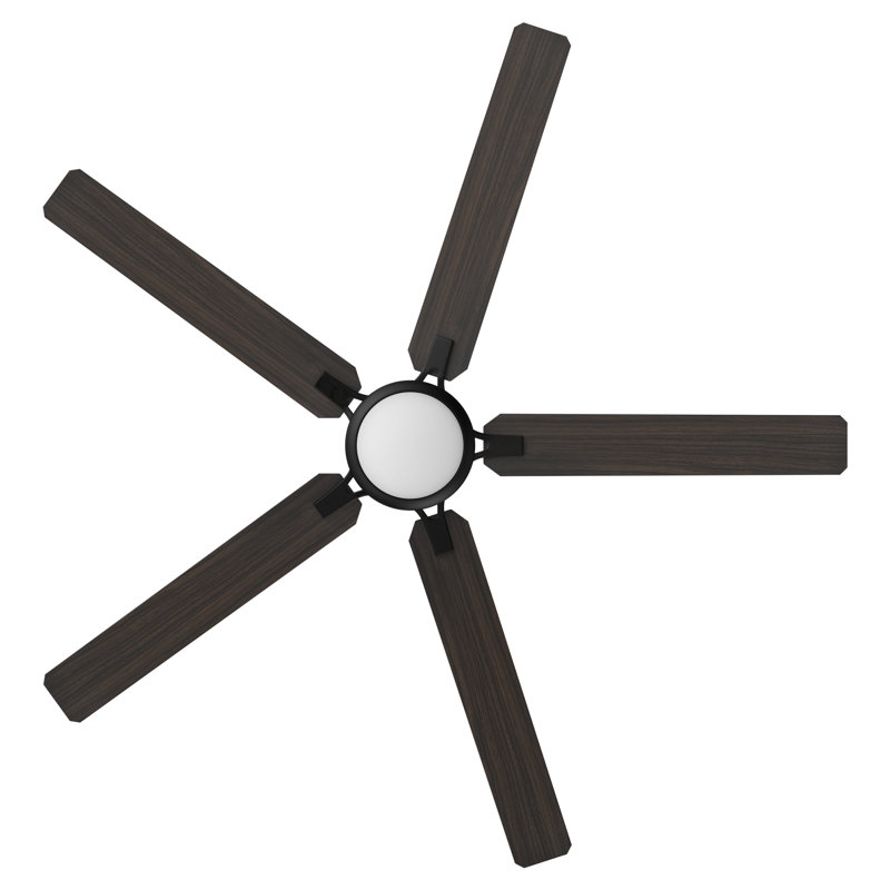 60'' Ceiling Fan with LED Lights, Black