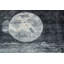 Tapis gris clair lunaire 6 x 8 Lunar Elegance