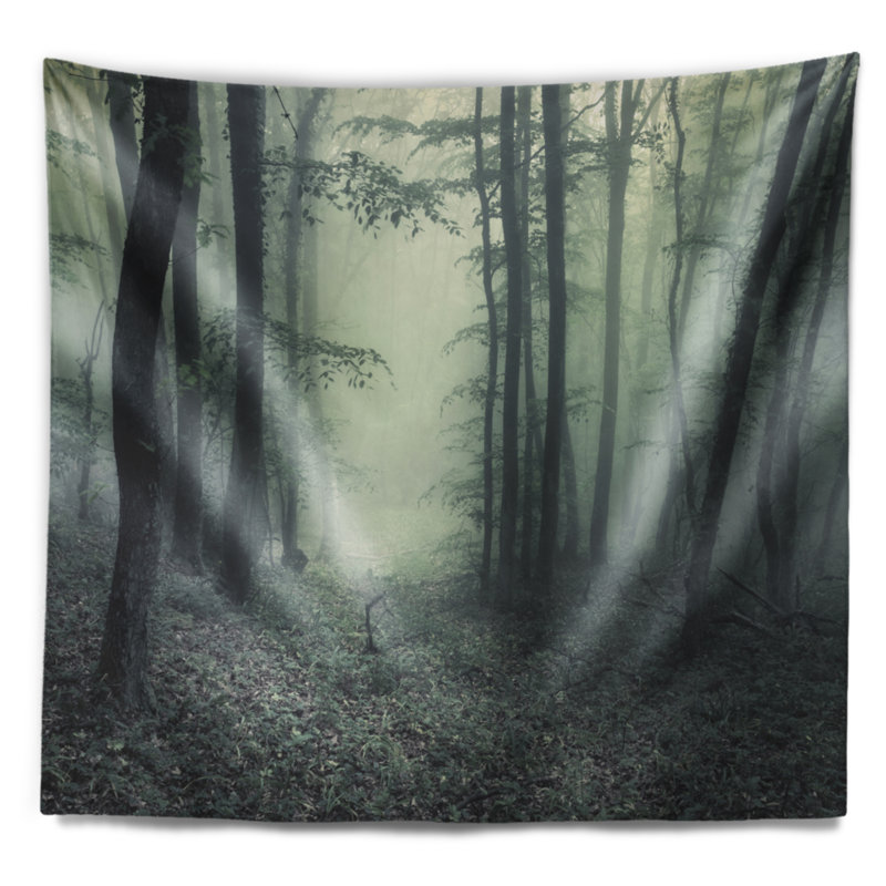 Sentier à travers une tapisserie forêt sombre, H 50 po x l 60 po