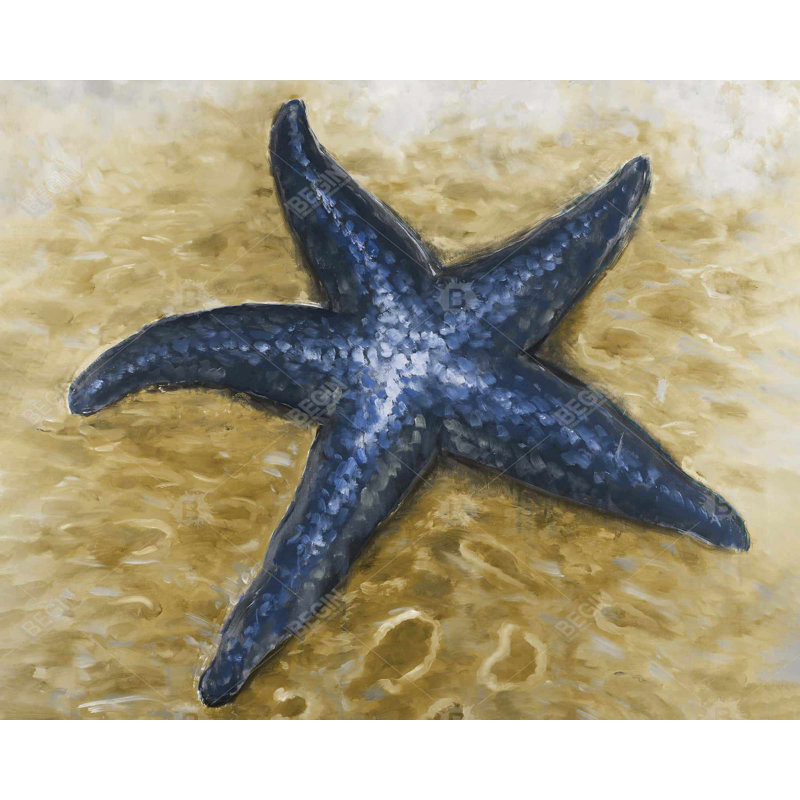 " Beautiful Starfish "