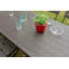 Nashari 6 - Person Patio Dining Set with Rectangular Table