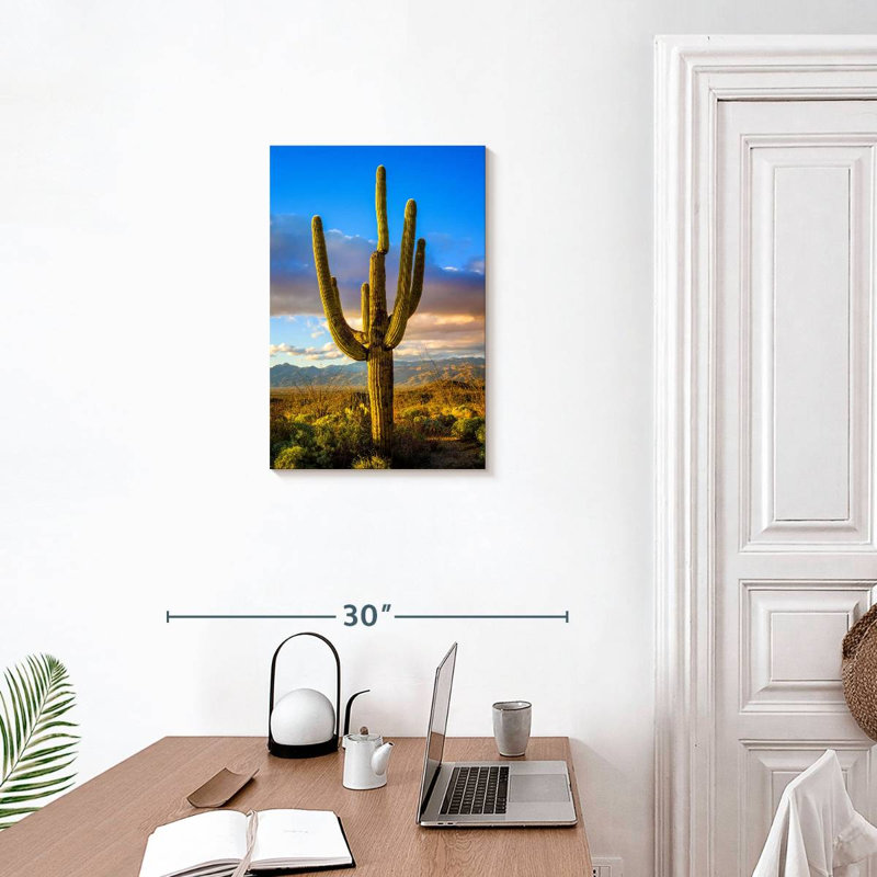 Parc national Harnek Saguaro Est III, H 24 po x l 16 po