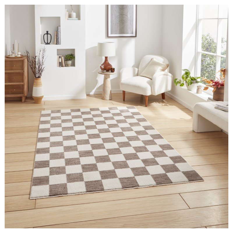 Paulean area rug Machine Woven Rectangle Grey, Rectangle 160 x 220cm