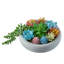 Plantes artificielles vertes et bleues