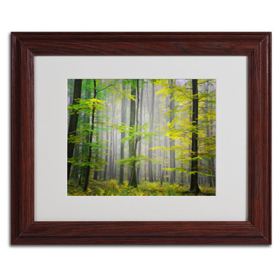 "Sugar Low" by Philippe Sainte-Laudy Matted Framed Photographic Print