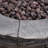 Cooksey Concrete Propane Fire Pit Table