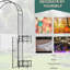 Arche de jardin polyvalente en métal avec barrière pour divers objets décoratifs
