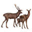 Deer Bronze Garden Statue