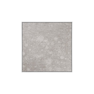 Tapis gris soyeux et moelleux