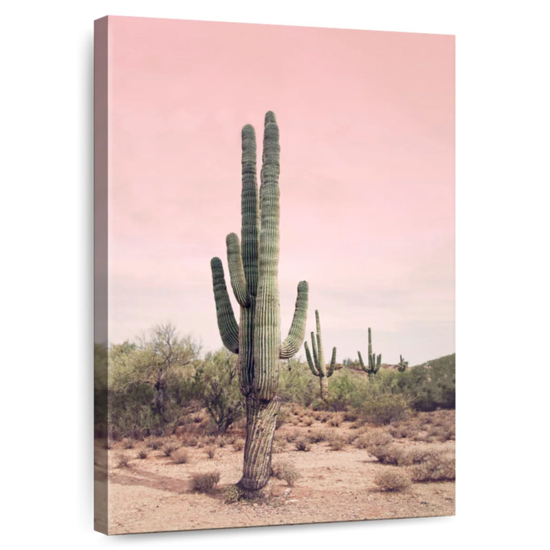 Harnek Desert Cactus Blush, 48" H x 32" W